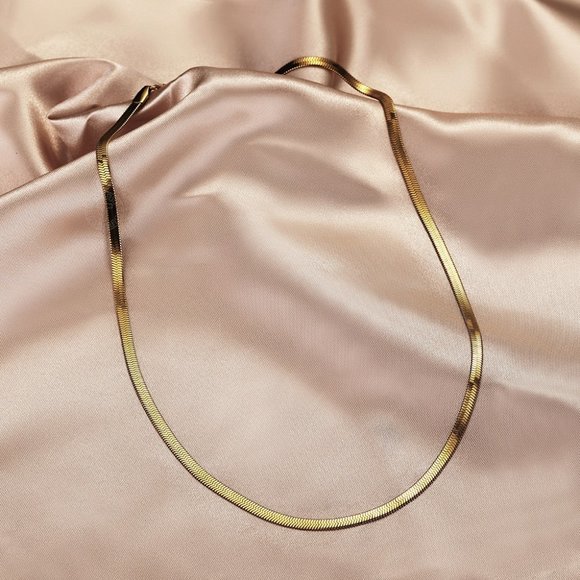 Jewelry - Snake Link Choker Necklace